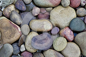 Colorful rocks from the Buffalo River.