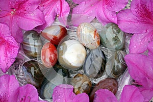 Colorful rocks and pedals surrounded by purple flower petals