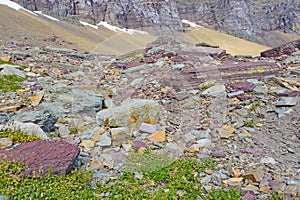 Colorful Rocks in a Scree Field