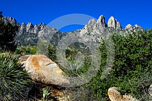 Colorful rocks, trees, and stands of yucca enhance Organ Mountains-Desert Peaks National Monument in New Mexico photo