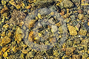 Colorful rolling stones pattern with still water. Colorful sea stones under still water. Iridescent sunlight on the stones. Transp