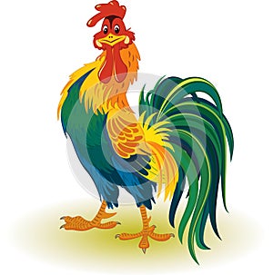 Colorful rooster photo