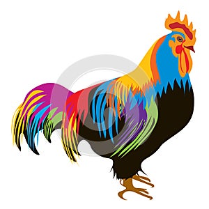 Colorful rooster