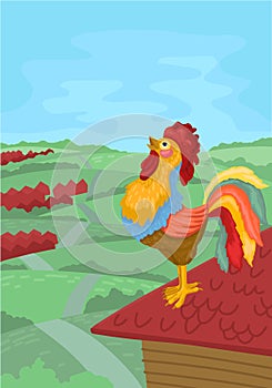 Colorful rooster crowing in the morning. Vector illustration