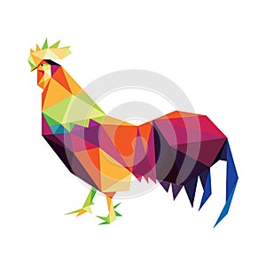 Colorful Rooster Polygonal low poly logo icon. Rooster full color triangle