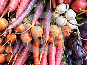 Colorful root vegetables