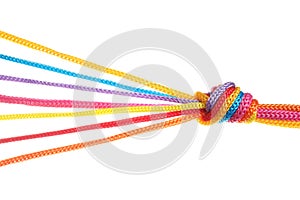 Colorful ropes tied together with knot isolated. Unity concept
