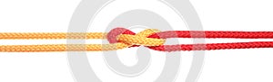 Colorful ropes tied together with knot isolated. Unity concept