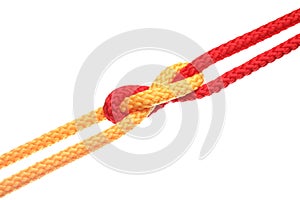 Colorful ropes tied together with knot isolated. Unity concept