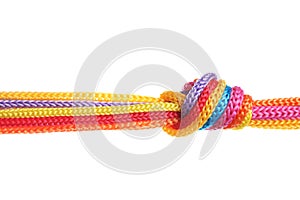 Colorful ropes tied together with knot. Unity concept