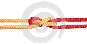 Colorful ropes tied together with knot on white. Unity concept