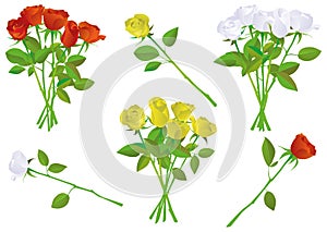 Colorful rose bouquet vector illustration set.