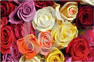 Colorato rose 