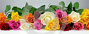 Colorful roses