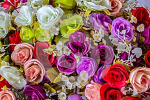 Colorful Roses Background