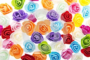 Colorful roses background