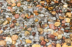 Colorful round stones under water.