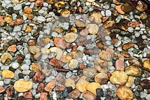 Colorful round stones under water.