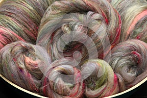 Colorful, roving of sheepwool, rolled up, material for spinning on a traditional spinning wheel as a hobby.