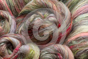 Colorful, roving of sheepwool, rolled up, material for spinning on a traditional spinning wheel as a hobby.