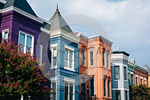 Colorful rowhouses in Washington, DC photo