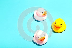 Colorful rubber bath ducks with copy space on blue background
