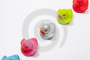 Colorful rubber ducks isolated on white