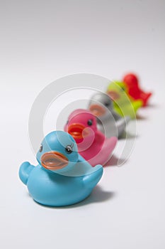 Colorful rubber ducks isolated on white