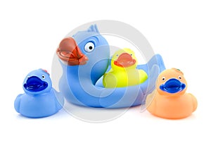 Colorful rubber ducks on white