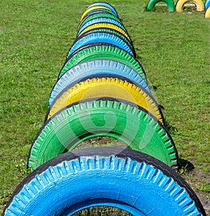 Colorful rubber tires on the green grass