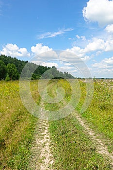 Colorful rural landscape. Country road in a green grass field. The sky with clouds