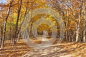 Colorful Rural Road in the Fall