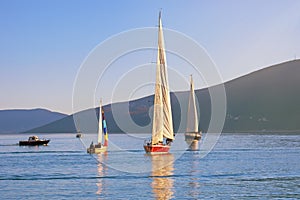 Colorful sailboats on water on sunny day. Montenegro