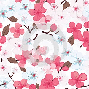 Colorful Sakura Flower Seamless Pattern On Solid White Background