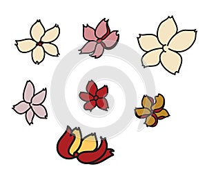 Colorful sakura flower vector.Chinese flower tattoo. Chrysanth flower for tattoo.