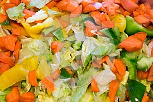 Colorful salad base lettuce carrots peppers