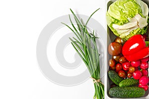 Colorful salad ingredients pattern made of cherry tomatoes, tomatoes, rosemary, cucumber, onion, chilli pepper, Garden