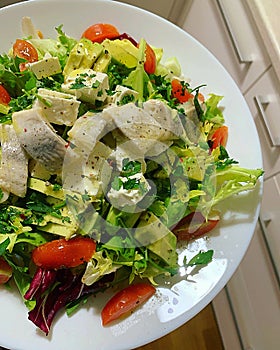 Colorful salad, sliced herring, various types of lettuce, sliced tomatoes, avocado, pieces of feta cheese, healthy food on a plate