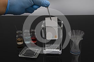 Colorful sample application of thin layer chromatography. The process of developing samples in the tlc system for analysis of