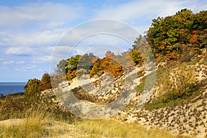 Colorful Sand Dune in Autumn