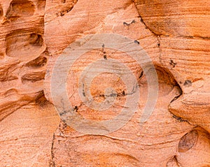 Colorful Sandstone Rock Formations on The Prospect Trail, Valley Of Fire State Park