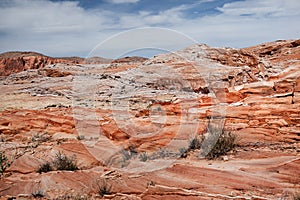 Colorful sandstone rocks at desert of Valley of Fire State Park, USA