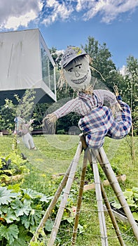Colorful scarecrow outside near garden close up. Kids made looks funny