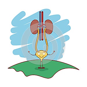 Colorful scene in grass with silhouette caricature renal system with urethra