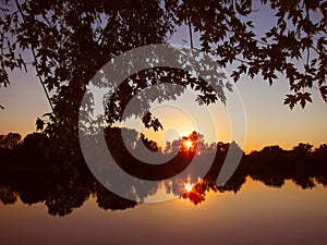 Colorful scenic sunset sun rise on the river pond lake water reflection trees plants