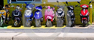 Colorful scooters photo