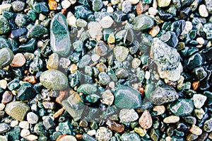 Colorful sea pebbles on the shore close up. Top view. Abstract background texture, sea stones in water.