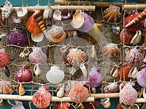 Colorful sea shells tied to rope net - homemade decorations