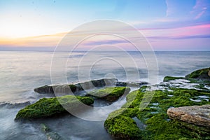 Colorful sea shore with green algae long exposure water at sunset time