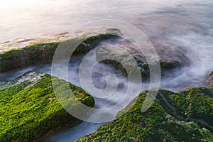 Colorful sea shore with green algae long exposure water at sunset time